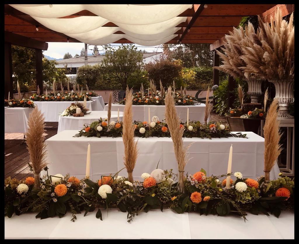 Celebre o Dia da Mulher no Alcazar com um menu especial e animação
